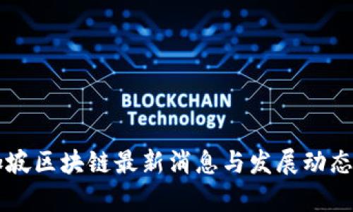 新加坡区块链最新消息与发展动态解析