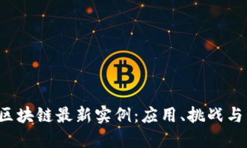 2023年区块链最新实例：应用、挑战与未来展望